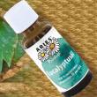 Aries Bioduft Eucalyptusöl, 30 ml