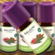 Baldini 100% Naturduft EUKALYPTUS Bio, 5 ml
