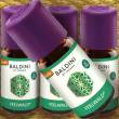 Baldini Duftkomposition FEELWALD Demeter, 5 ml