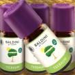Baldini 100% Naturduft TEEBAUM Bio, 5 ml