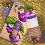 Beauty Made Easy Lip Tint PLUM get�nter Lippenbalsam, 5,5 g 