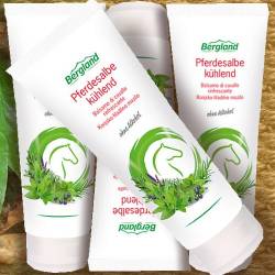 Bergland PFERDESALBE kühlend, 100 ml