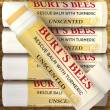 Burt's Bees Lip Balm ADVANCED RELIEF Lippenpflegestift, 4,25 g