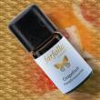 Farfalla 100% �therisches �l BIO Grapefruit, 5 