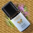 Farfalla 100% atherisches Öl SELEKTION Iris 1%, 5 ml