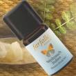 Farfalla 100% ätherisches Öl BIO Weihrauch Indien, 5 ml