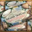 Nesti Dante Paradiso Tropicale Seife St. Barth's Coconut & Frangipani, 250 g