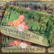 Nesti Dante Emozioni in Toscana BORGHI & MONASTERI Seife, 250 g