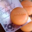 Speick Badeseife SANDDORN, 225 g